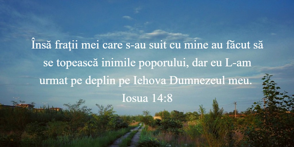 Însă fraţii mei care s-au suit cu mine au făcut să se topească inimile poporului, dar eu L-am urmat pe deplin pe Iehova Dumnezeul meu. Iosua 14:8