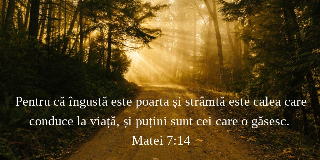 Pentru că îngustă este poarta și strâmtă este calea care conduce la viață, și puțini sunt cei care o găsesc. Matei 7:14