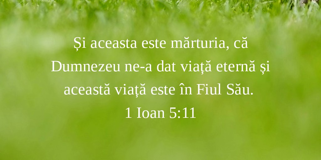 Și aceasta este mărturia, că Dumnezeu ne-a dat viață eternă și această viață este în Fiul Său. 1 Ioan 5:11