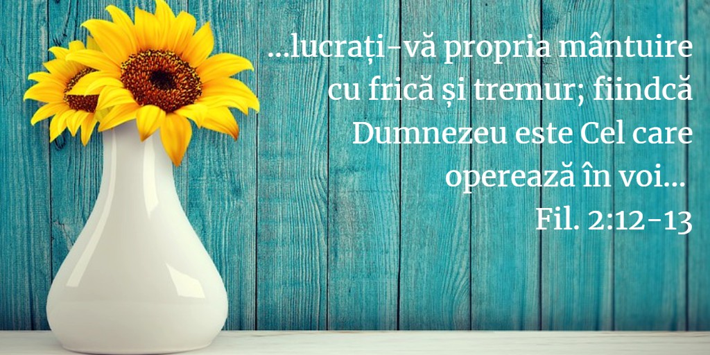 ...lucrați-vă propria mântuire cu frică și tremur; fiindcă Dumnezeu este Cel care operează în voi... Fil. 2:12-13