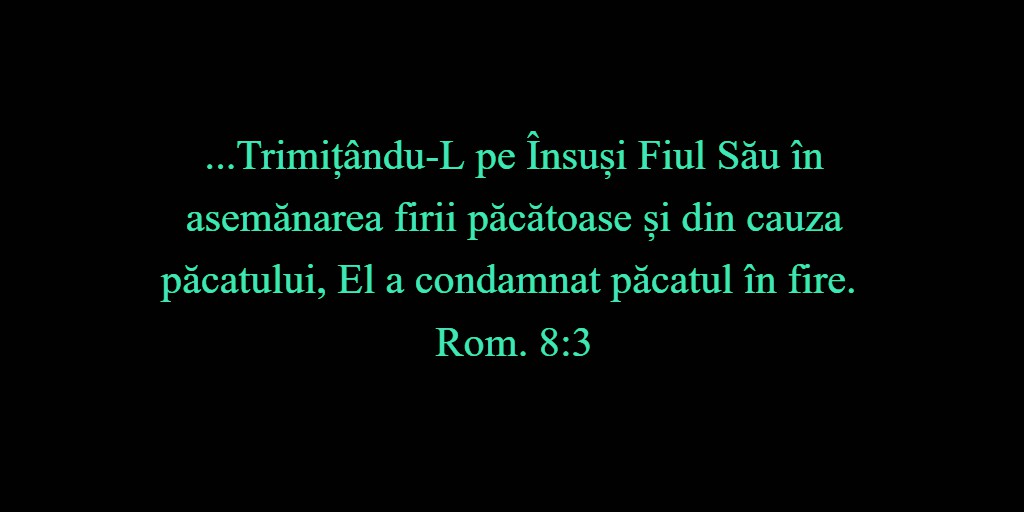 ...Trimițându-L pe Însuși Fiul Său în asemănarea firii păcătoase și din cauza păcatului, El a condamnat păcatul în fire. Rom. 8:3