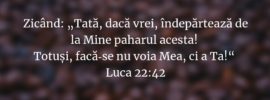 Zicând: „Tată, dacă vrei, îndepărtează de la Mine paharul acesta! Totuși, facă‑se nu voia Mea, ci a Ta!“ Luca 22:42