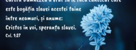 Cărora Dumnezeu a vrut să le facă cunoscut care este bogăția slavei acestei taine între neamuri, și anume: Cristos în voi, speranța slavei. Col. 1:27