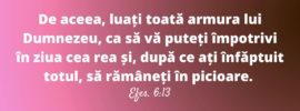 De aceea, luați toată armura lui Dumnezeu, ca să vă puteți împotrivi în ziua cea rea și, după ce ați înfăptuit totul, să rămâneți în picioare. Efes. 6:13