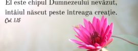 El este chipul Dumnezeului nevăzut, întâiul născut peste întreaga creație. Col. 1:15