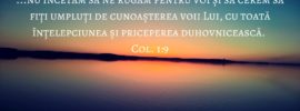 ...nu încetăm să ne rugăm pentru voi și să cerem să fiți umpluți de cunoașterea voii Lui, cu toată înțelepciunea și priceperea duhovnicească. Col. 1:9