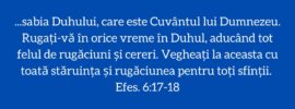 ...sabia Duhului, care este Cuvântul lui Dumnezeu. Rugați‑vă în orice vreme în Duhul, aducând tot felul de rugăciuni și cereri. Vegheați la aceasta cu toată stăruința și rugăciunea pentru toți sfinții. Efes. 6:17-18