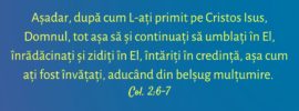 Așadar, după cum L‑ați primit pe Cristos Isus, Domnul, tot așa să și continuați să umblați în El, înrădăcinați și zidiți în El, întăriți în credință, așa cum ați fost învățați, aducând din belșug mulțumire. Col. 2:6-7