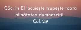 Căci în El locuiește trupește toată plinătatea dumnezeirii. Col. 2:9