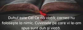 Duhul este Cel Ce dă viață; carnea nu folosește la nimic. Cuvintele pe care vi le‑am spus sunt duh și viață. Ioan 6:63