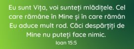 Eu sunt Vița, voi sunteți mlădițele. Cel care rămâne în Mine și în care rămân Eu aduce mult rod. Căci despărțiți de Mine nu puteți face nimic. Ioan 15:5