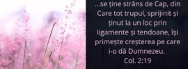 ...se ține strâns de Cap, din Care tot trupul, sprijinit și ținut la un loc prin ligamente și tendoane, își primește creșterea pe care i‑o dă Dumnezeu. Col. 2:19