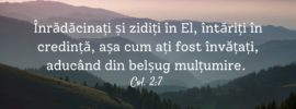 Înrădăcinați și zidiți în El, întăriți în credință, așa cum ați fost învățați, aducând din belșug mulțumire. Col. 2:7 - Să-L savurăm pe Cristos pentru a-I absorbi bogățiile și pentru a crește cu creșterea lui Dumnezeu pentru Trup