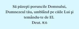 Să păzești poruncile Domnului, Dumnezeul tău, umblând pe căile Lui și temându‑te de El. Deut. 8:6