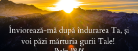 Înviorează‑mă după îndurarea Ta, și voi păzi mărturia gurii Tale! Psalm 119:88