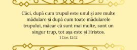 Căci, după cum trupul este unul și are multe mădulare și după cum toate mădularele trupului, măcar că sunt mai multe, sunt un singur trup, tot așa este și Hristos. 1 Cor. 12:12