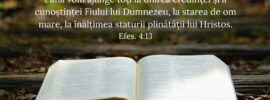 Până vom ajunge toți la unirea credinței și a cunoștinței Fiului lui Dumnezeu, la starea de om mare, la înălțimea staturii plinătății lui Hristos. Efes. 4:13