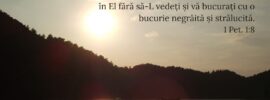 Pe care voi Îl iubiți fără să-L fi văzut, credeți în El fără să-L vedeți și vă bucurați cu o bucurie negrăită și strălucită. 1 Pet. 1:8