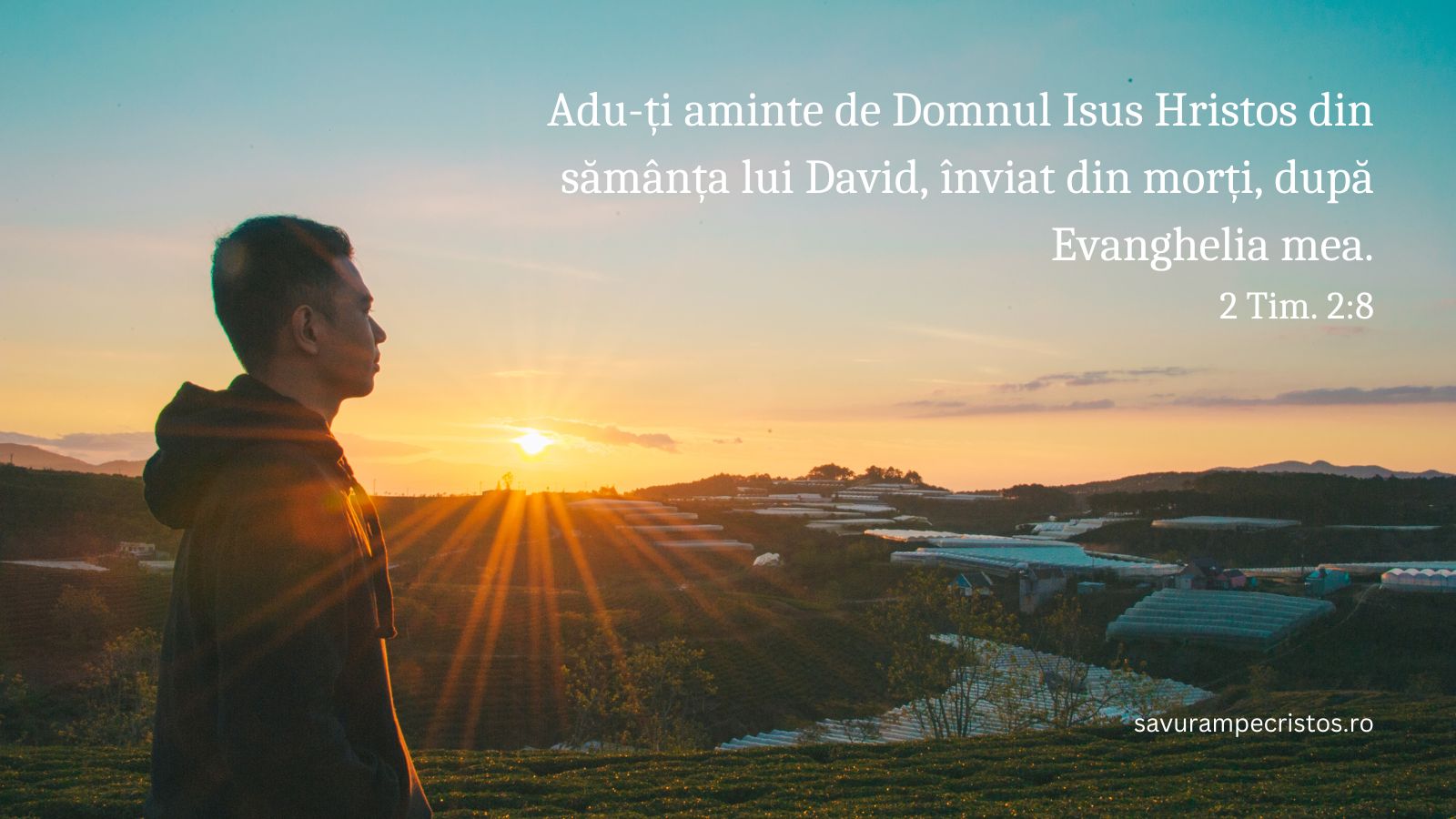 Adu-ți aminte de Domnul Isus Hristos din sămânța lui David, înviat din morți, după Evanghelia mea. 2 Tim. 2:8