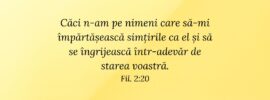 Căci n-am pe nimeni care să-mi împărtășească simțirile ca el și să se îngrijească într-adevăr de starea voastră. Fil. 2:20