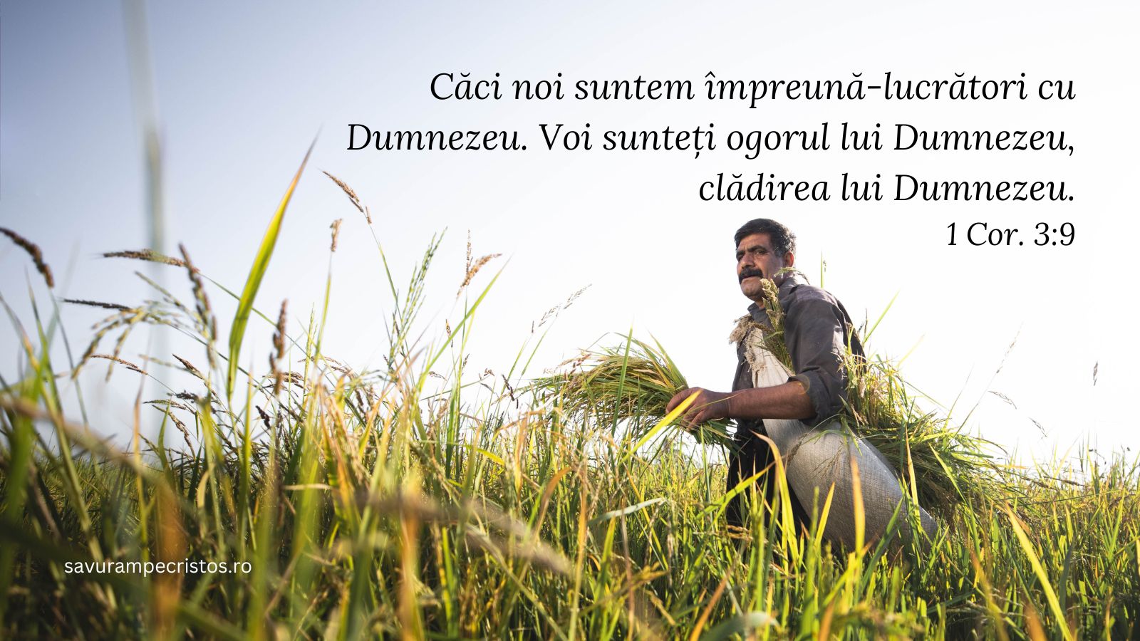 Căci noi suntem împreună-lucrători cu Dumnezeu. Voi sunteți ogorul lui Dumnezeu, clădirea lui Dumnezeu. 1 Cor. 3:9