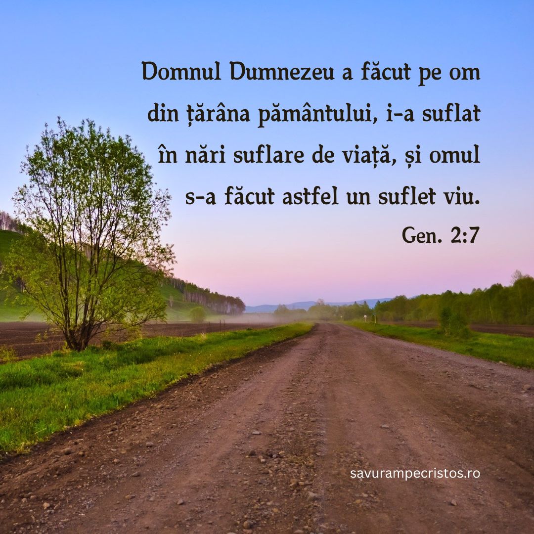 Domnul Dumnezeu a făcut pe om din țărâna pământului, i-a suflat în nări suflare de viață, și omul s-a făcut astfel un suflet viu. Gen. 2:7 