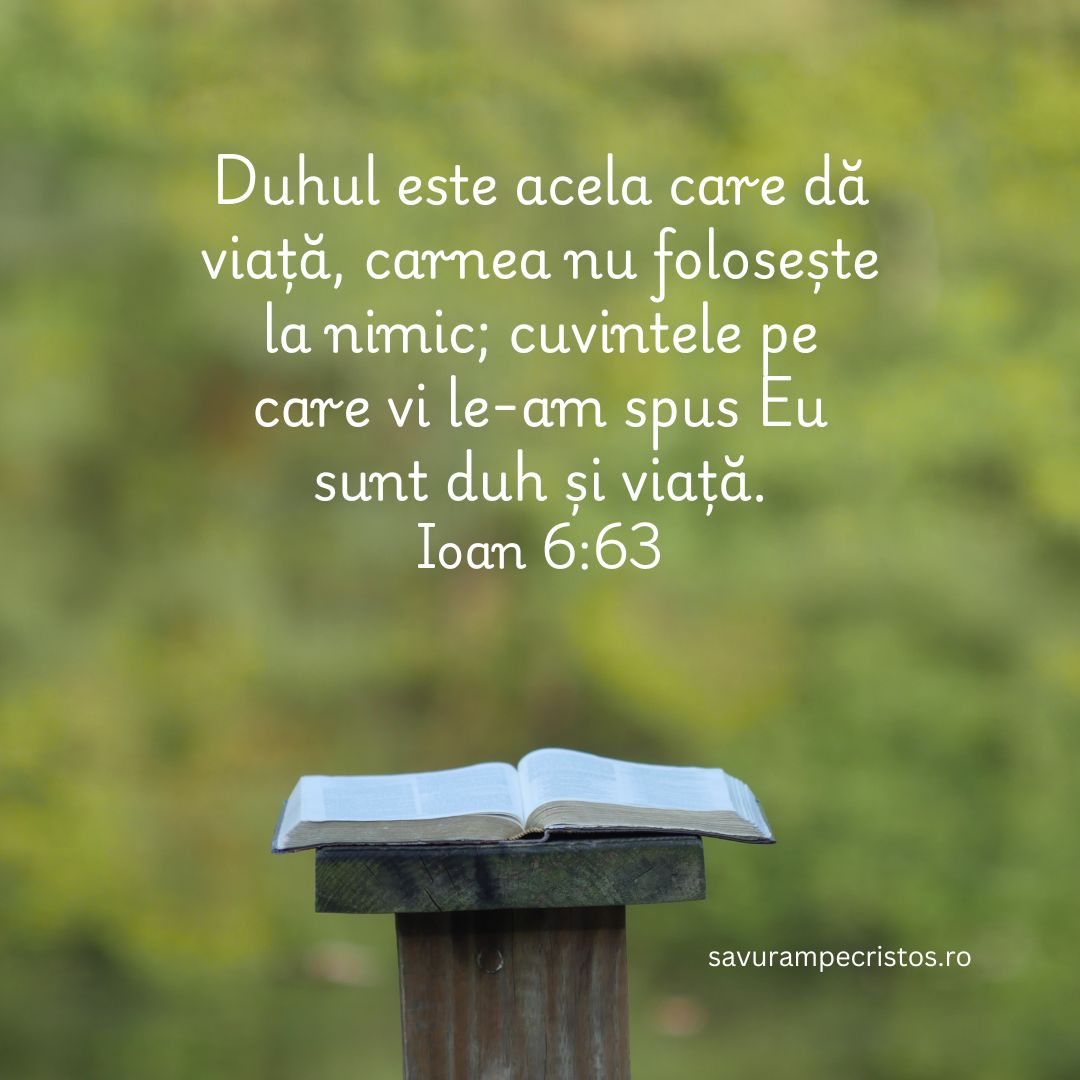 Duhul este acela care dă viață, carnea nu folosește la nimic; cuvintele pe care vi le-am spus Eu sunt duh și viață. Ioan 6:63