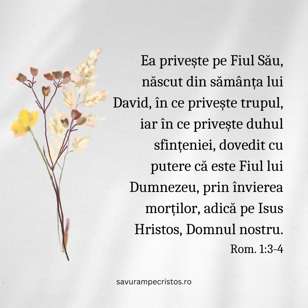 Ea privește pe Fiul Său, născut din sămânța lui David, în ce privește trupul, iar în ce privește duhul sfințeniei, dovedit cu putere că este Fiul lui Dumnezeu, prin învierea morților, adică pe Isus Hristos, Domnul nostru. Rom. 1:3-4