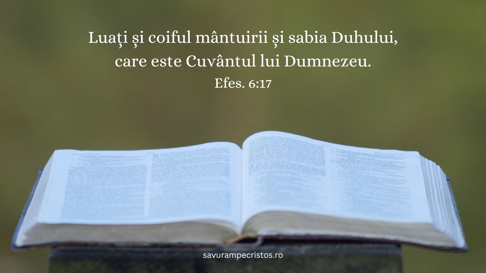 Luați și coiful mântuirii și sabia Duhului, care este Cuvântul lui Dumnezeu. Efes. 6:17