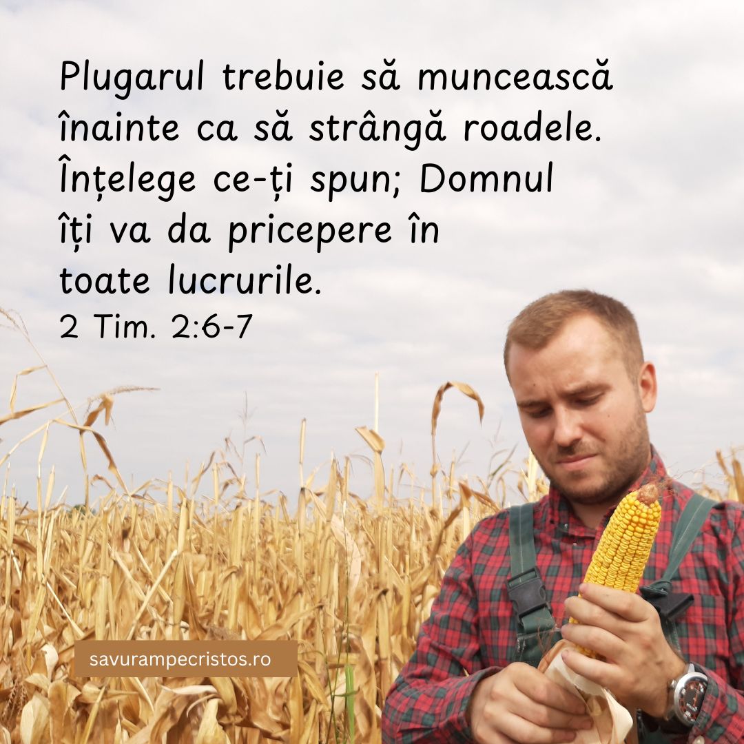 Plugarul trebuie să muncească înainte ca să strângă roadele. Înțelege ce-ți spun; Domnul îți va da pricepere în toate lucrurile. 2 Tim. 2:6-7 