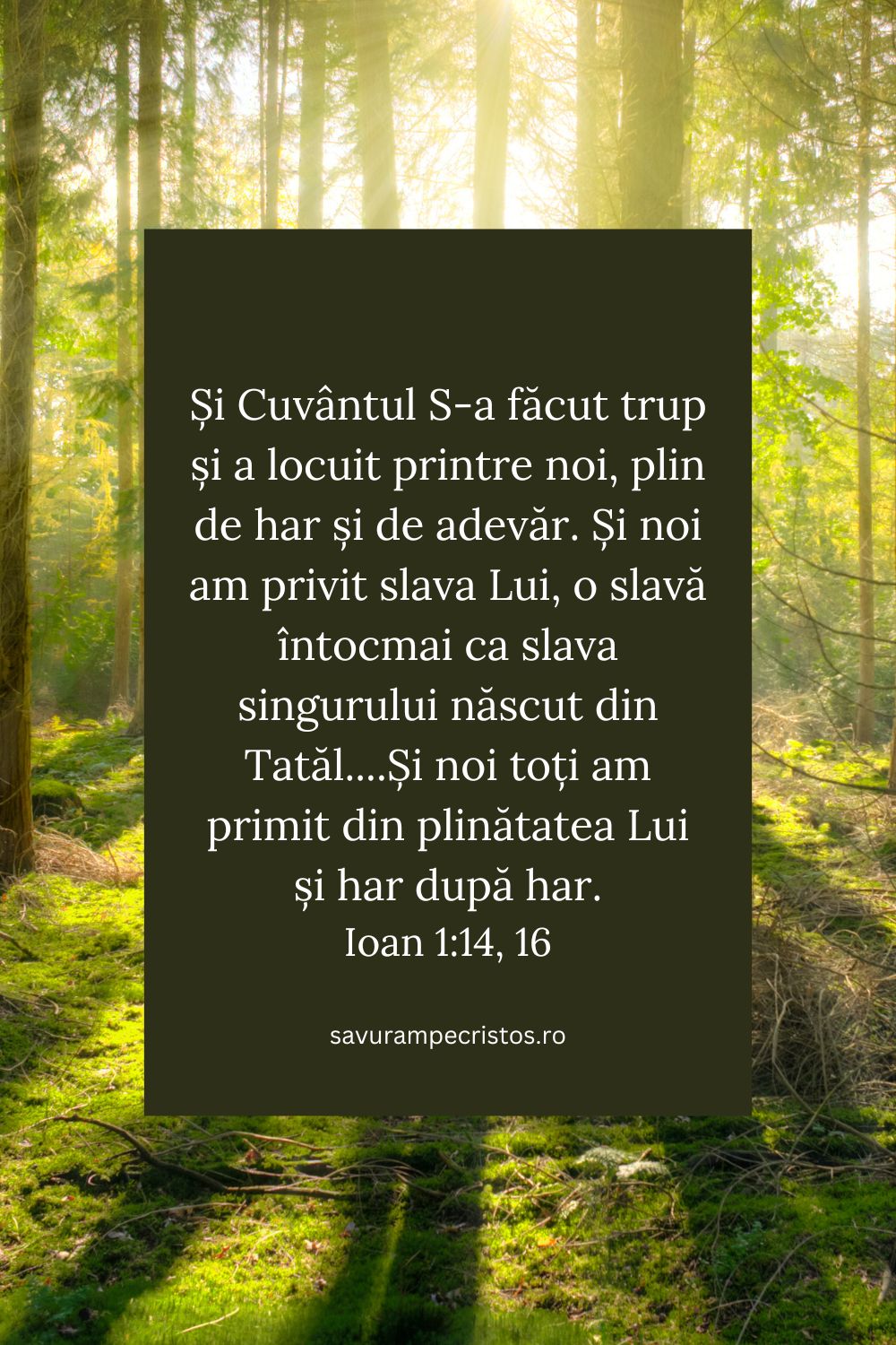 Și Cuvântul S-a făcut trup și a locuit printre noi, plin de har și de adevăr. Și noi am privit slava Lui, o slavă întocmai ca slava singurului născut din Tatăl....Și noi toți am primit din plinătatea Lui și har după har. Ioan 1:14, 16