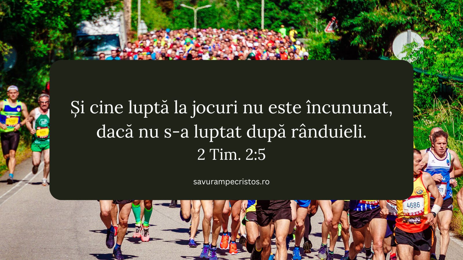 Și cine luptă la jocuri nu este încununat, dacă nu s-a luptat după rânduieli. 2 Tim. 2:5 