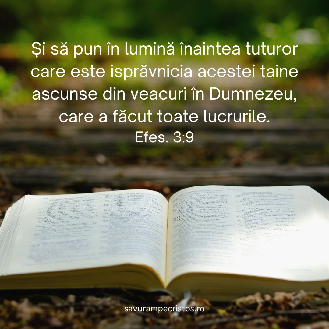 Și să pun în lumină înaintea tuturor care este isprăvnicia acestei taine ascunse din veacuri în Dumnezeu, care a făcut toate lucrurile. Efes. 3:9
