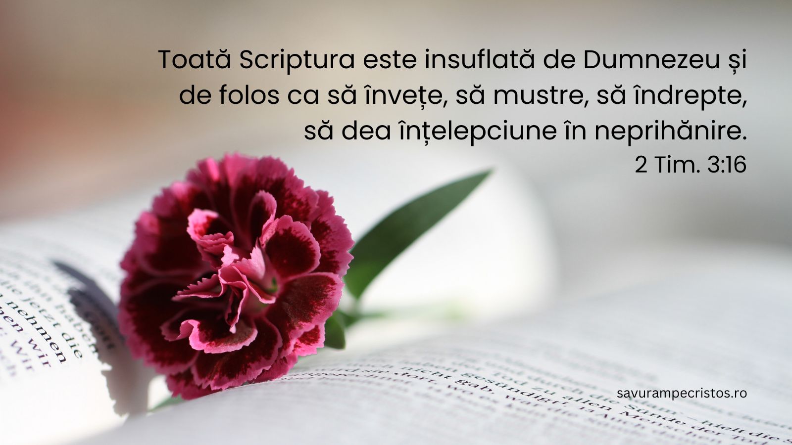 Toată Scriptura este insuflată de Dumnezeu și de folos ca să învețe, să mustre, să îndrepte, să dea înțelepciune în neprihănire. 2 Tim. 3:16