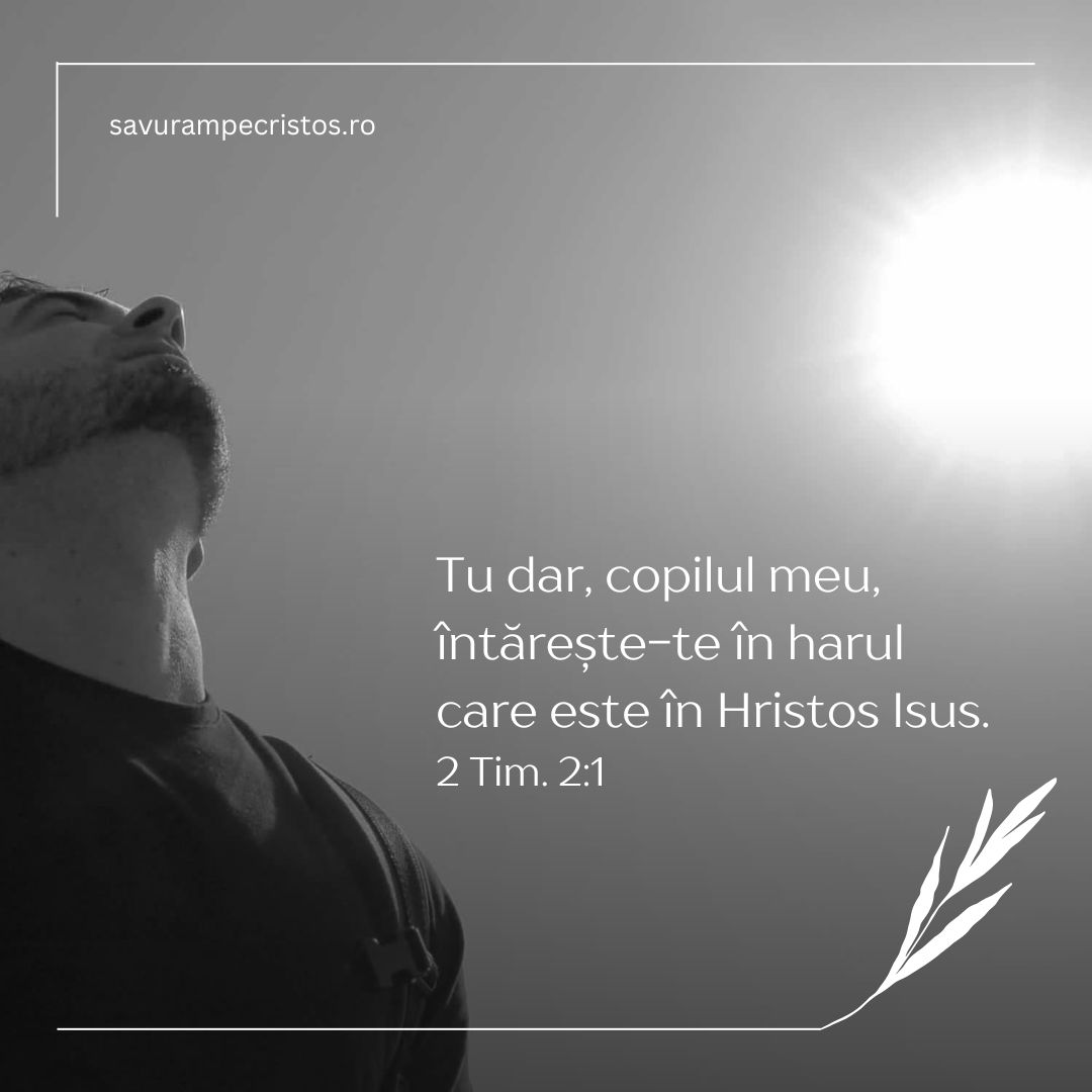 Tu dar, copilul meu, întărește-te în harul care este în Hristos Isus. 2 Tim. 2:1