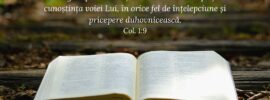 ...ne rugăm pentru voi și să cerem să vă umpleți de cunoștința voiei Lui, în orice fel de înțelepciune și pricepere duhovnicească. Col. 1:9