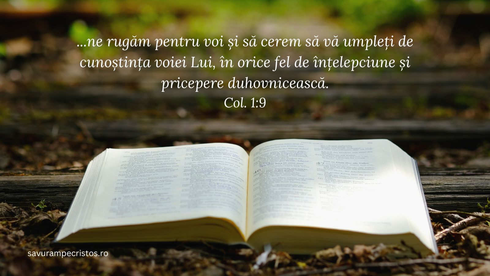 ...ne rugăm pentru voi și să cerem să vă umpleți de cunoștința voiei Lui, în orice fel de înțelepciune și pricepere duhovnicească. Col. 1:9