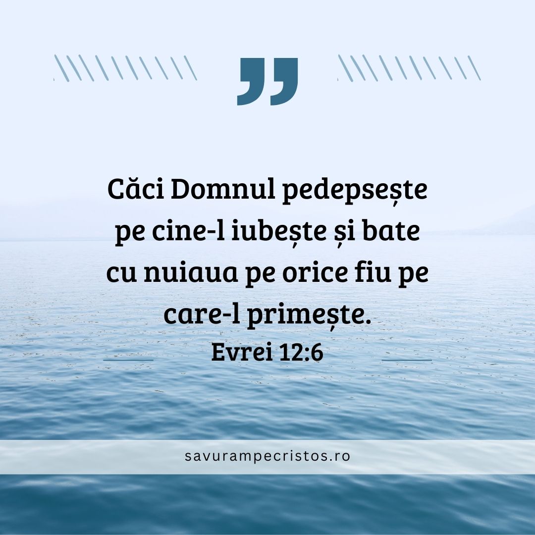 Căci Domnul pedepsește pe cine-l iubește și bate cu nuiaua pe orice fiu pe care-l primește. Evrei 12:6