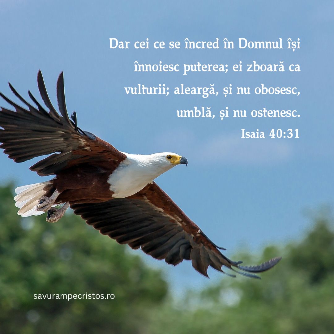 Dar cei ce se încred în Domnul își înnoiesc puterea; ei zboară ca vulturii; aleargă, și nu obosesc, umblă, și nu ostenesc. Isaia 40:31