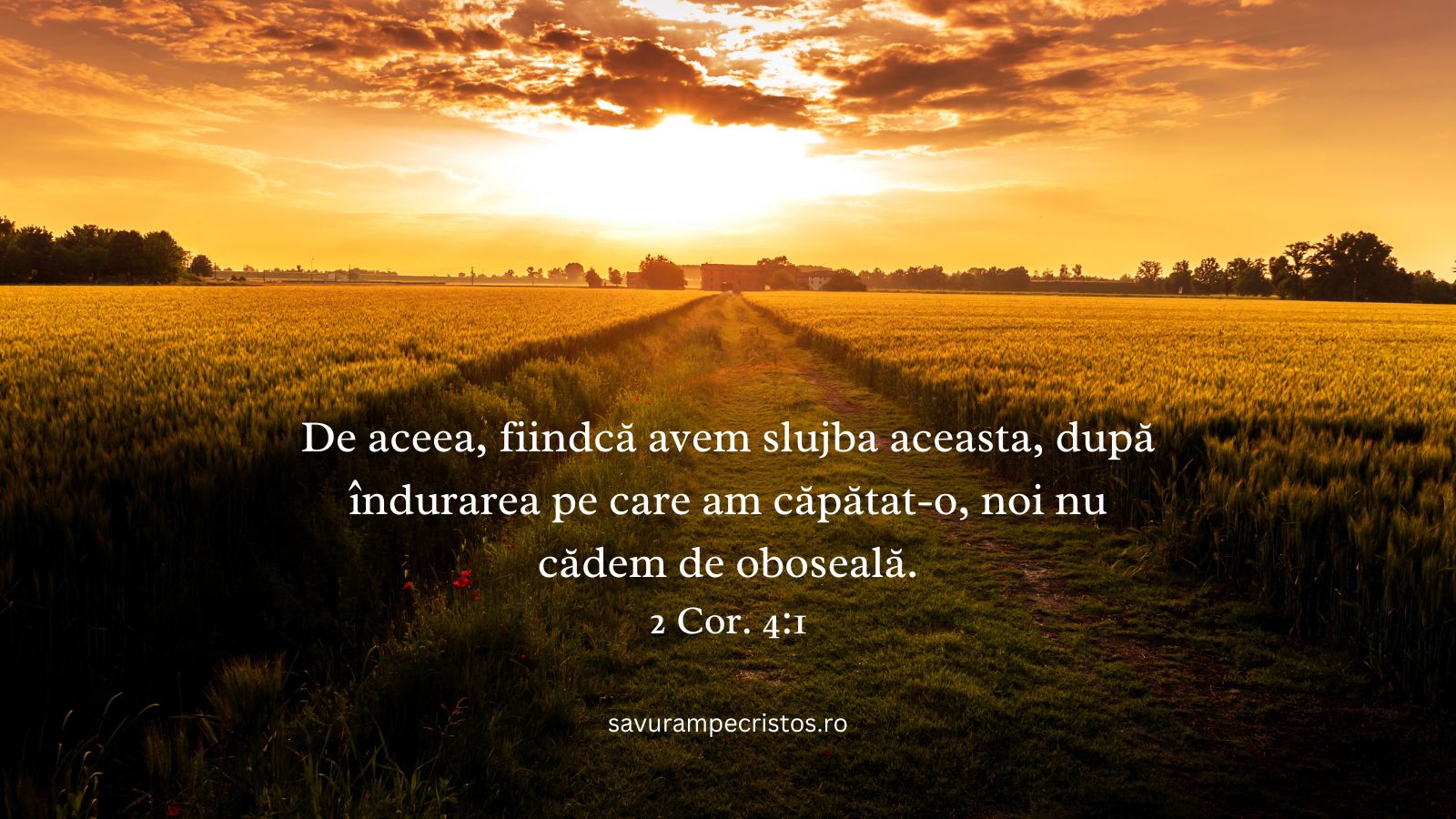 De aceea, fiindcă avem slujba aceasta, după îndurarea pe care am căpătat-o, noi nu cădem de oboseală. 2 Cor. 4:1