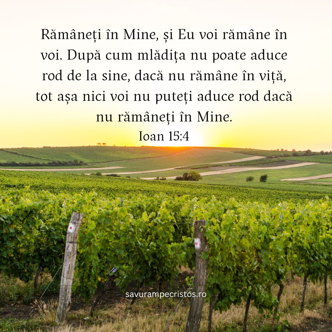 Rămâneți în Mine, și Eu voi rămâne în voi. După cum mlădița nu poate aduce rod de la sine, dacă nu rămâne în viță, tot așa nici voi nu puteți aduce rod dacă nu rămâneți în Mine. Ioan 15:4