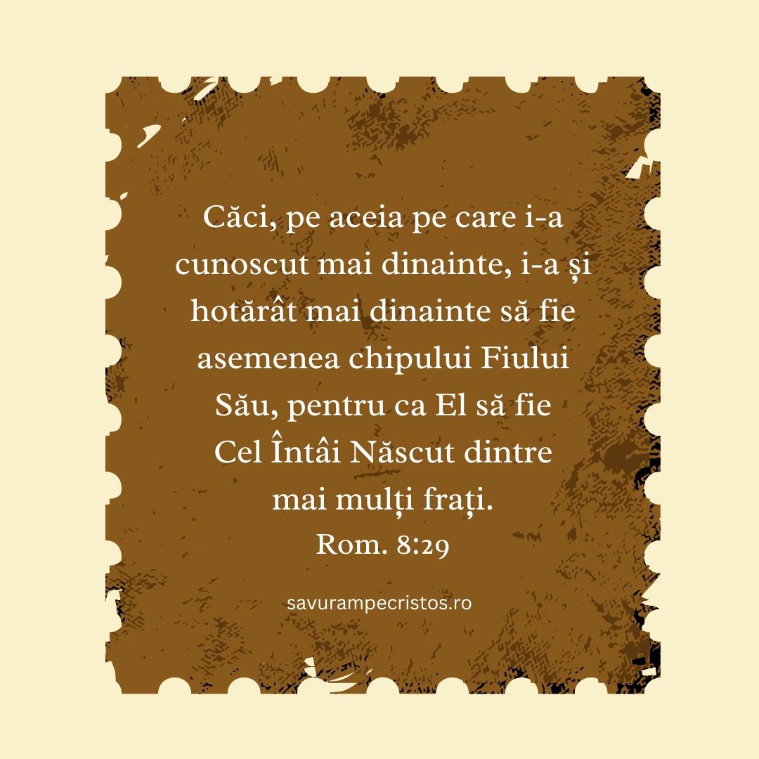 Căci, pe aceia pe care i-a cunoscut mai dinainte, i-a și hotărât mai dinainte să fie asemenea chipului Fiului Său, pentru ca El să fie Cel Întâi Născut dintre mai mulți frați. Rom. 8:29