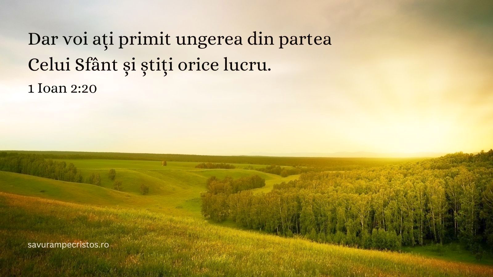 Dar voi ați primit ungerea din partea Celui Sfânt și știți orice lucru. 1 Ioan 2:20