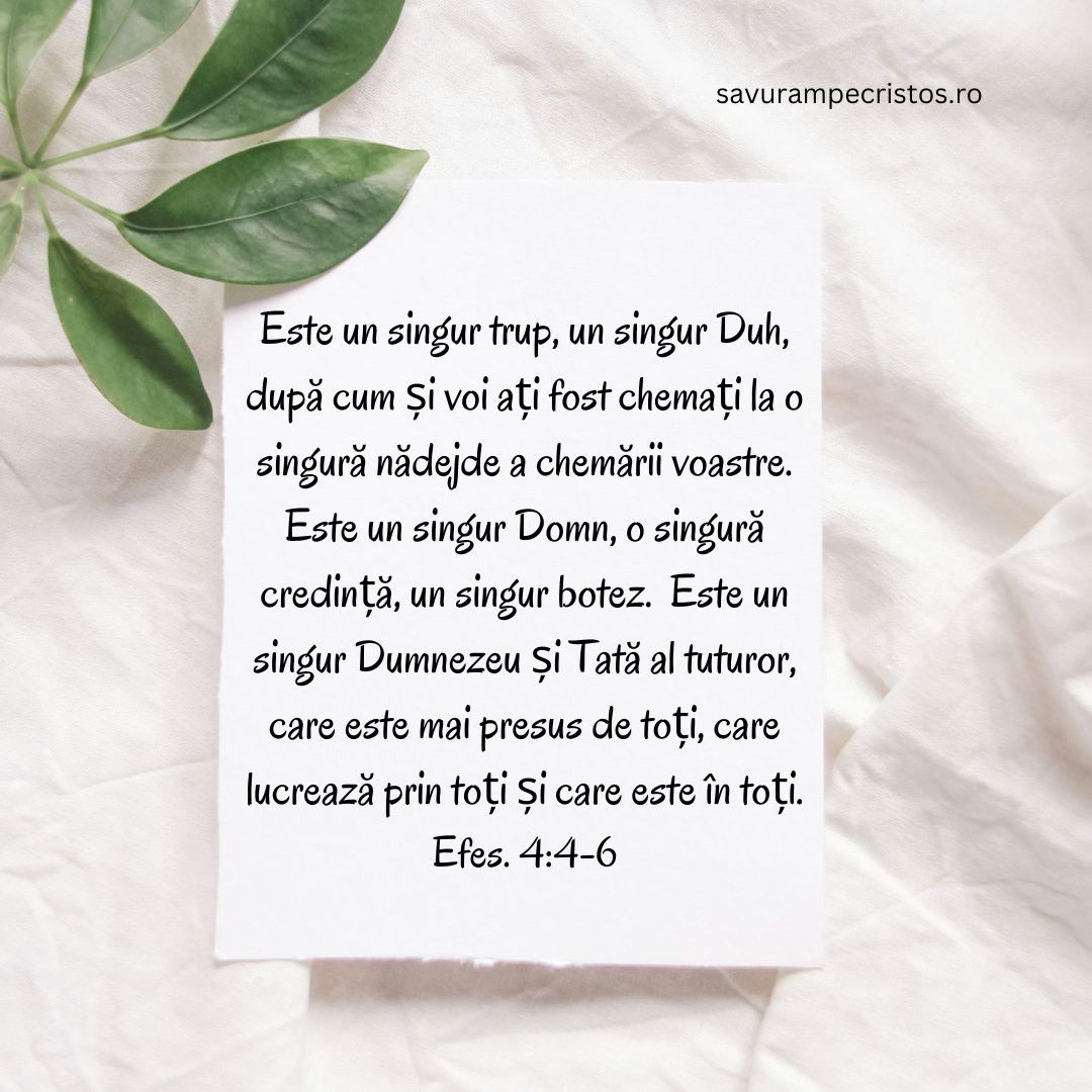 Este un singur trup, un singur Duh, după cum și voi ați fost chemați la o singură nădejde a chemării voastre. Este un singur Domn, o singură credință, un singur botez.  Este un singur Dumnezeu și Tată al tuturor, care este mai presus de toți, care lucrează prin toți și care este în toți. Efes. 4:4-6