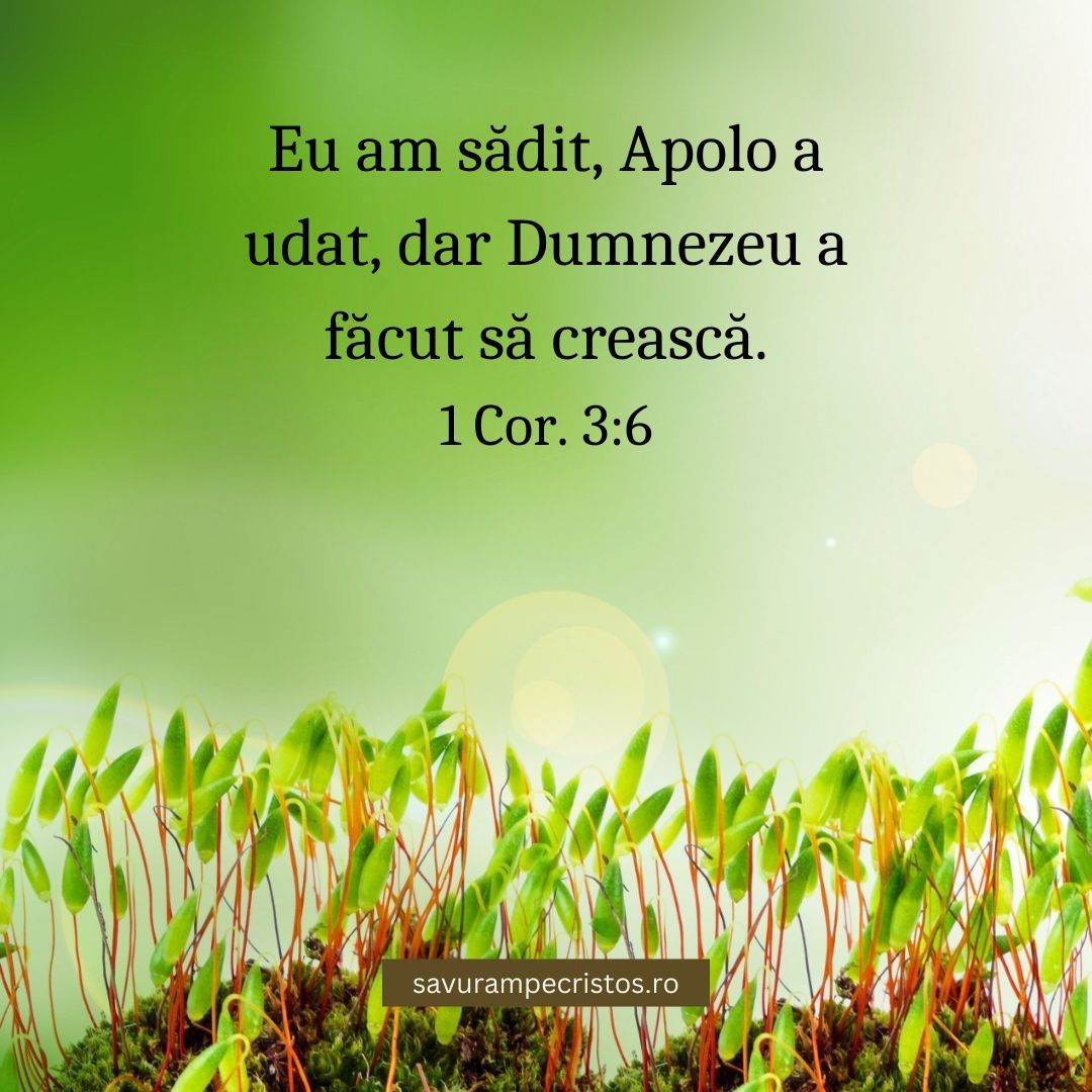 Eu am sădit, Apolo a udat, dar Dumnezeu a făcut să crească. 1 Cor. 3:6