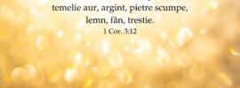 Iar dacă clădește cineva pe această temelie aur, argint, pietre scumpe, lemn, fân, trestie. 1 Cor. 3:12