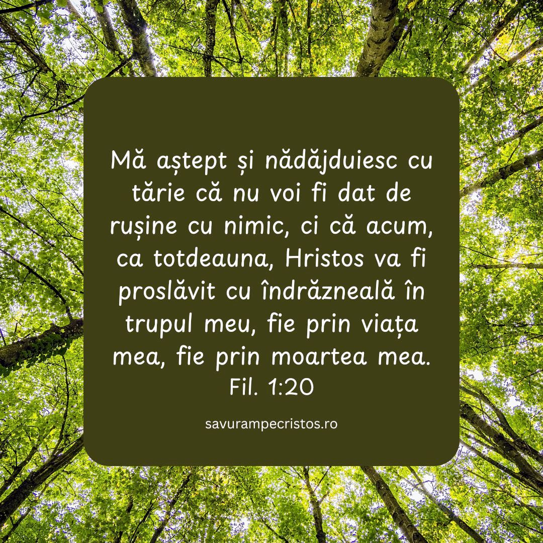 Mă aștept și nădăjduiesc cu tărie că nu voi fi dat de rușine cu nimic, ci că acum, ca totdeauna, Hristos va fi proslăvit cu îndrăzneală în trupul meu, fie prin viața mea, fie prin moartea mea. Fil. 1:20
