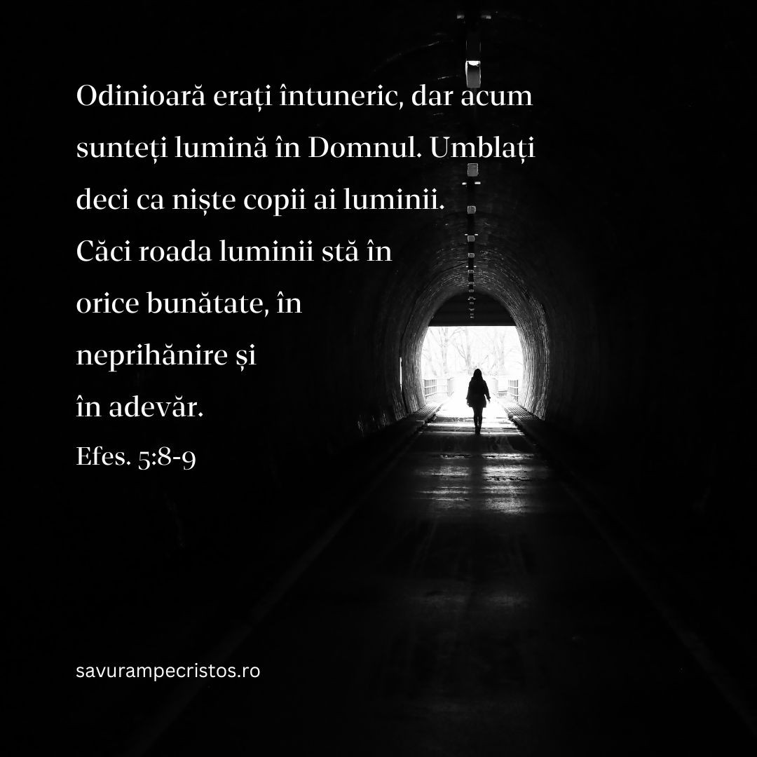 Odinioară erați întuneric, dar acum sunteți lumină în Domnul. Umblați deci ca niște copii ai luminii. Căci roada luminii stă în orice bunătate, în neprihănire și în adevăr. Efes. 5:8-9
