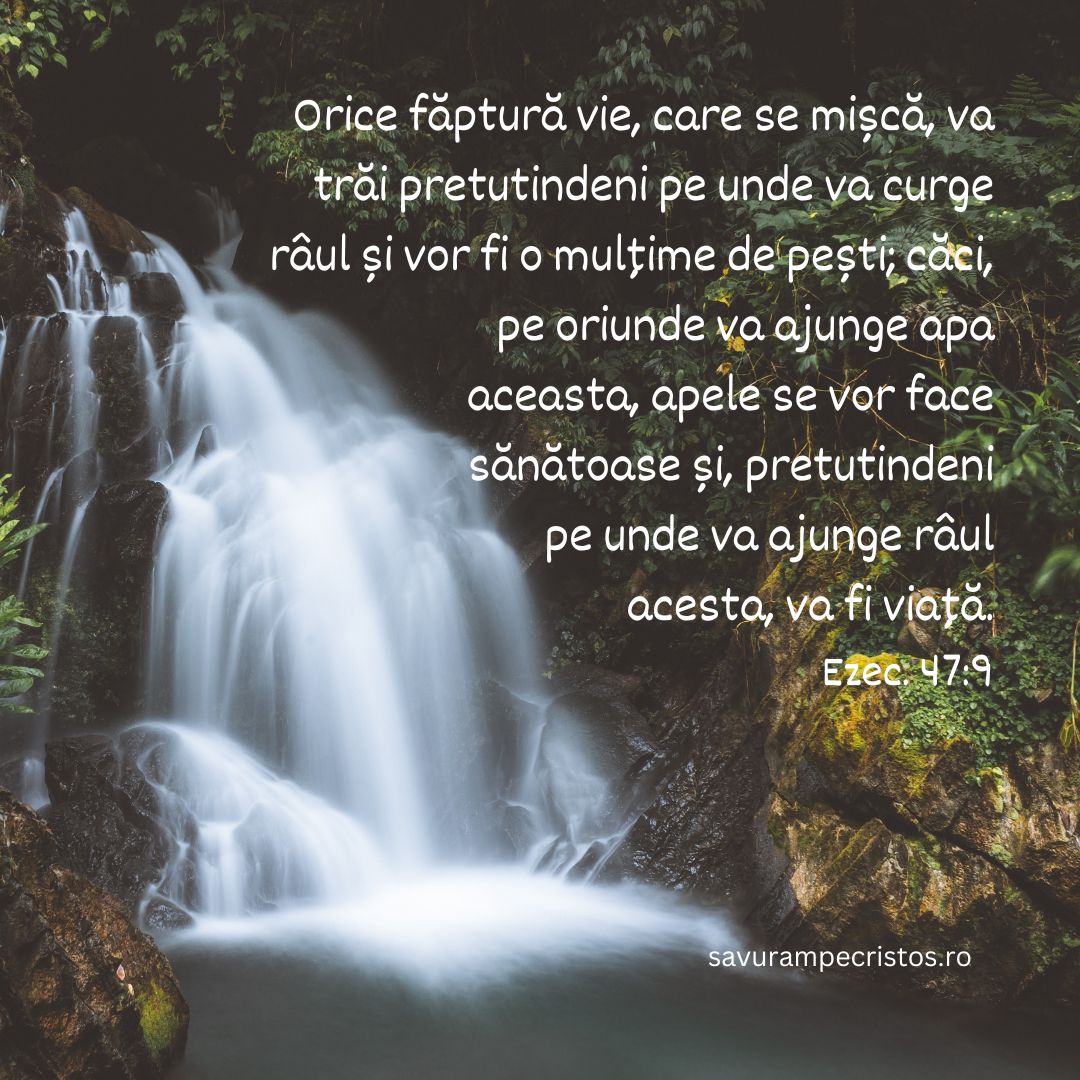 Orice făptură vie, care se mișcă, va trăi pretutindeni pe unde va curge râul și vor fi o mulțime de pești; căci, pe oriunde va ajunge apa aceasta, apele se vor face sănătoase și, pretutindeni pe unde va ajunge râul acesta, va fi viață. Ezec. 47:9