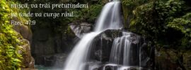 Orice făptură vie, care se mișcă, va trăi pretutindeni pe unde va curge râul... Ezec. 47:9